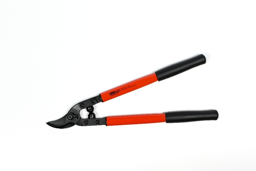 Astschere_Profi_480.1